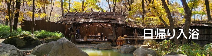 日帰り入浴 日帰り入浴